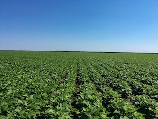 0 Farm To Market Road 140, Pearsall, TX 78061