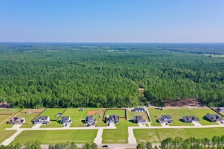 0 Tbd Us 401 S, Erwin, NC 28339