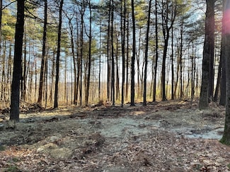 Lot 38B Michael Sears Rd, Belchertown, MA 01007