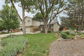 6514 Zinnia St, Arvada, CO 80004
