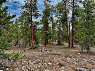 331 & 351 Mount Massive Dr, Twin Lakes, CO 81251