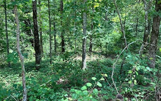 0 Rebekah Ridge Rd Unit 326392, Talking Rock, GA 30135