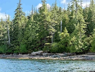 Lot 8 Block 2 Gravina Island, Ketchikan, AK 99901