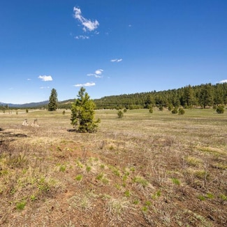 Lot 25 To Be Determined Unit 25, McCall, ID 83638