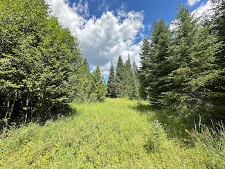 3331 Deep Lake Boundary Rd, Colville, WA 99114
