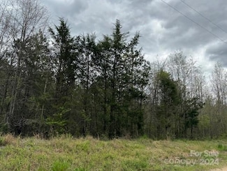 00 Dudley Church Rd, Pageland, SC 29728