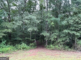 0 Bush St Unit 10582678, Barnesville, GA 30204