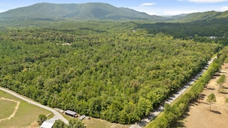 Lot 6 Lick Creek Rd, Tellico Plains, TN 37385
