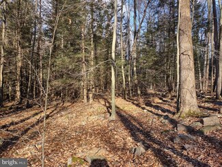 Lot 2 Black Log Valley Estates, Orbisonia, PA 17243