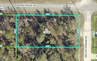 0 English Sparrow Rd Unit MFRU8250529, Weeki Wachee, FL 34614