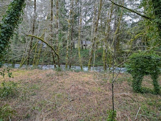 TL 400 N Slick Rock Creek Rd Unit 400, Otis, OR 97368