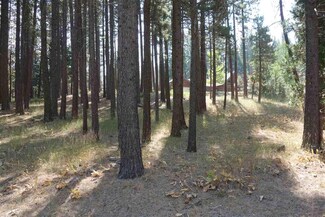 63 Smith Creek Rd, Graeagle, CA 96103
