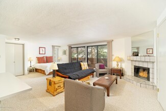 935 E Hopkins Ave Unit 6, Aspen, CO 81611