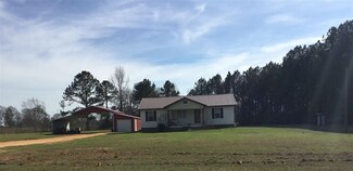 380 Scr 92, Mize, MS 39116
