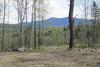 351 Coventry Rd, Benton, NH 03785