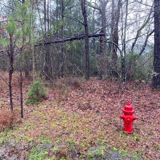 19.9 acres Epps Rd, Box Springs, GA 31801