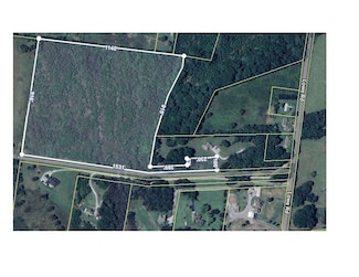 7787 Lowe Rd, Christiana, TN 37037