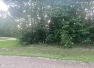 0 Wood Duck Cove Unit 4116304, Raymond, MS 39154