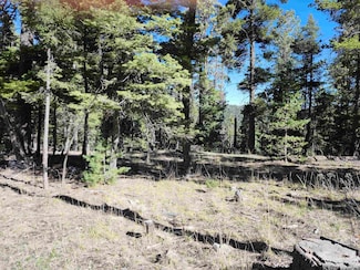 180 Big Dipper Rd Unit 19, Cloudcroft, NM 88317