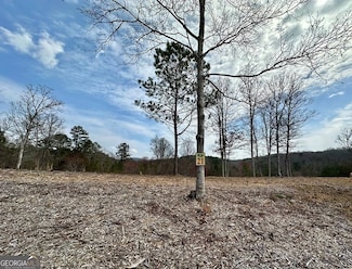 21 Arbor Creek Trail, Mineral Bluff, GA 30559