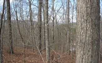 LOT25 Scarlett Way, Young Harris, GA 30582