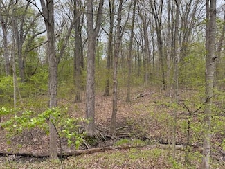 0 W East Rd, Lakeside, MI 49128