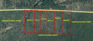 Parcel C Black Point Rd, Moran Township, MI 49760