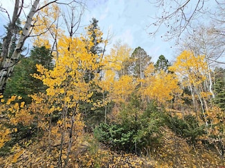 0 Lot 13b South Rito Hondo Ct Unit 795450, Antonito, CO 81120