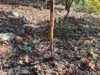 46.4+/- Acre Delpark Rd, Belgrade Township, MO 63664