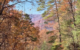 Lot 49 Fires Creek Rd, Hayesville, NC 28904