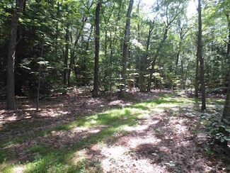 229 Mont Vernon Rd, Milford, NH 03055