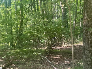 Lot # 179 Mockingbird Cir, Lincoln Township, MI 48622