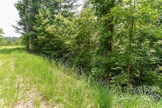 Lot 12 the Vines Blvd Unit Lot 12, Marshall, NC 28753