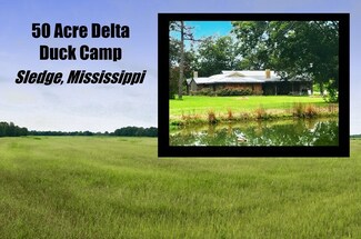 3305 Hwy 315 - Sledge, Other, MS 38670