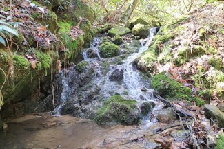 00 Indian Trail, Hot Springs, NC 28743