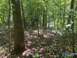 1.1 acres Still Meadow Rd, Somerville, AL 35670