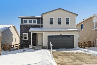 957 Sandhills St, Windsor, CO 80550
