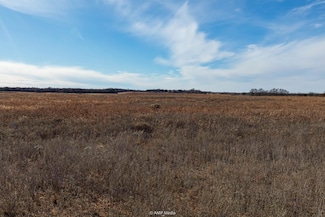 8190 County Road 358, Anson, TX 79501