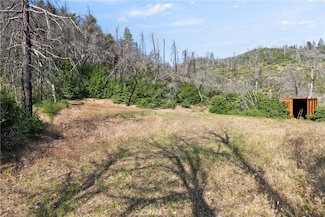 0 Eagle Peak Lookout Rd, Paskenta, CA 96074