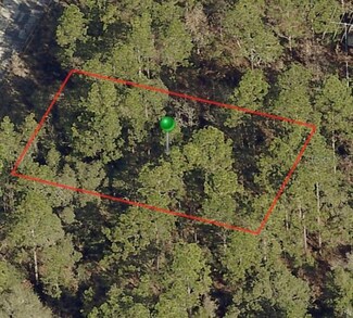 2982 W Marie Dr, Citrus Springs, FL 34433