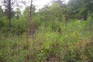 00 Ed Kirksley Rd, Ocoee, TN 37361