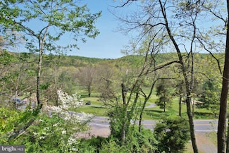 343 Resort Dr, Basye, VA 22810