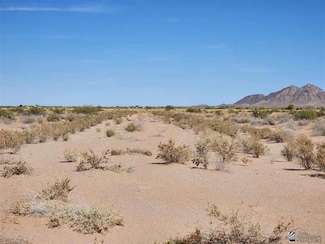 64599 Stinson Way, Dateland, AZ 85333