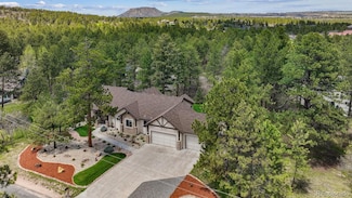 1151 Kenosha Dr, Larkspur, CO 80118