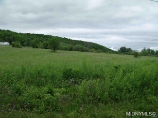 0 Newport Rd Unit 1802224, Newport, NY 13416
