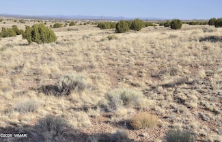 0 9 27 Ac Powerline Rd, Taylor, AZ 85939