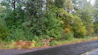 0 View Ridge Rd Unit NWM2434545, Onalaska, WA 98570