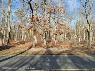 0 Newtons Corner Rd Unit 22200235, Howell Township, NJ 07731