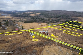 1175 New York 41 Unit 4 lots, Afton, NY 13730