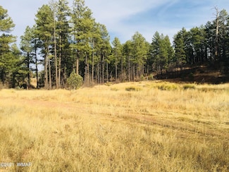 0000 Az-260, Show Low, AZ 85901